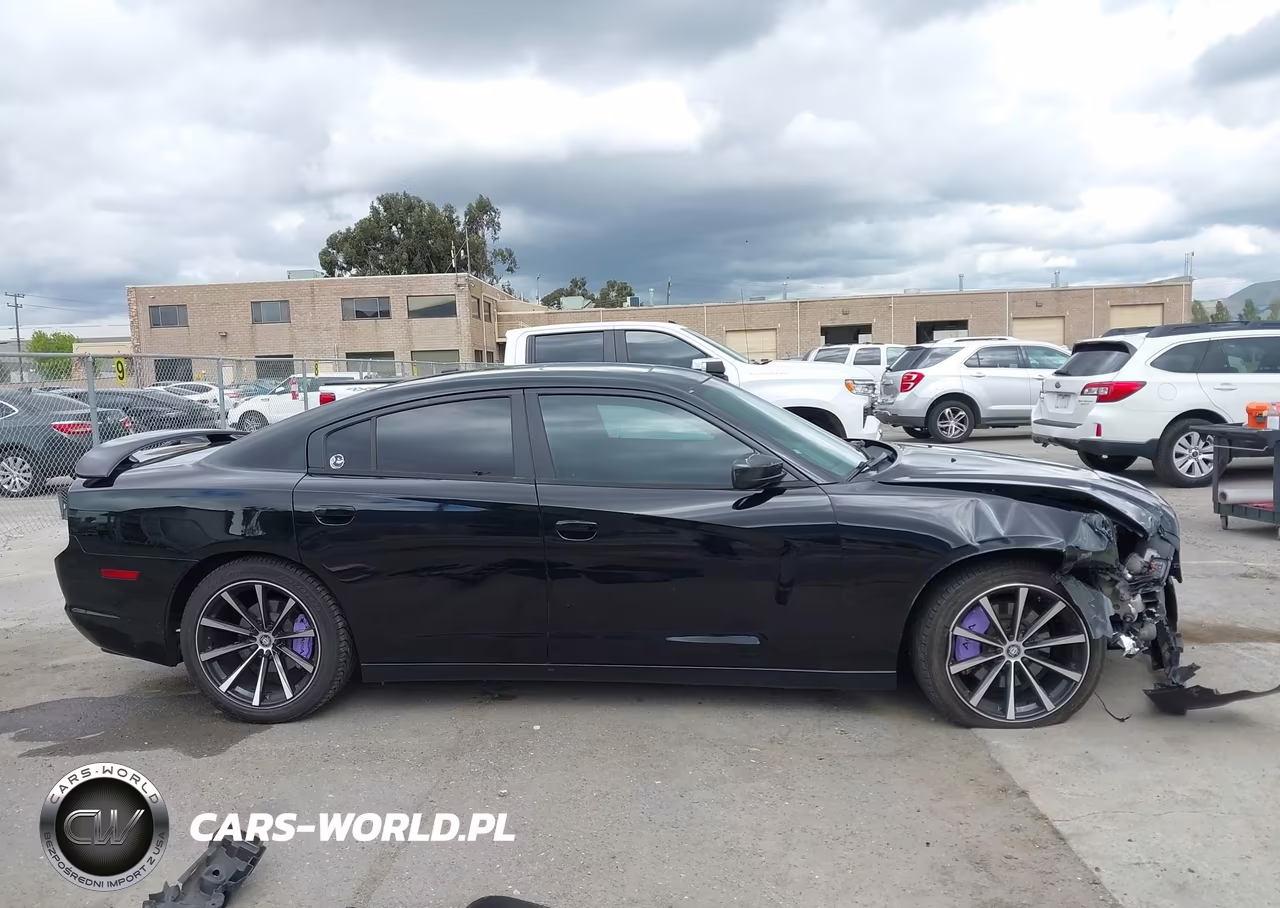 2013 Dodge Charger R-T Plus VIN:2C3CDXCT4DH545401 - 14