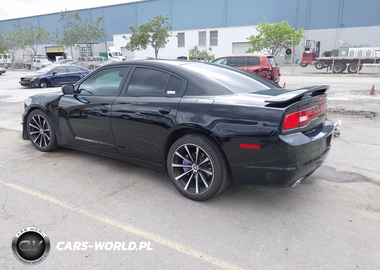 2013 Dodge Charger R-T Plus VIN:2C3CDXCT4DH545401 - 3