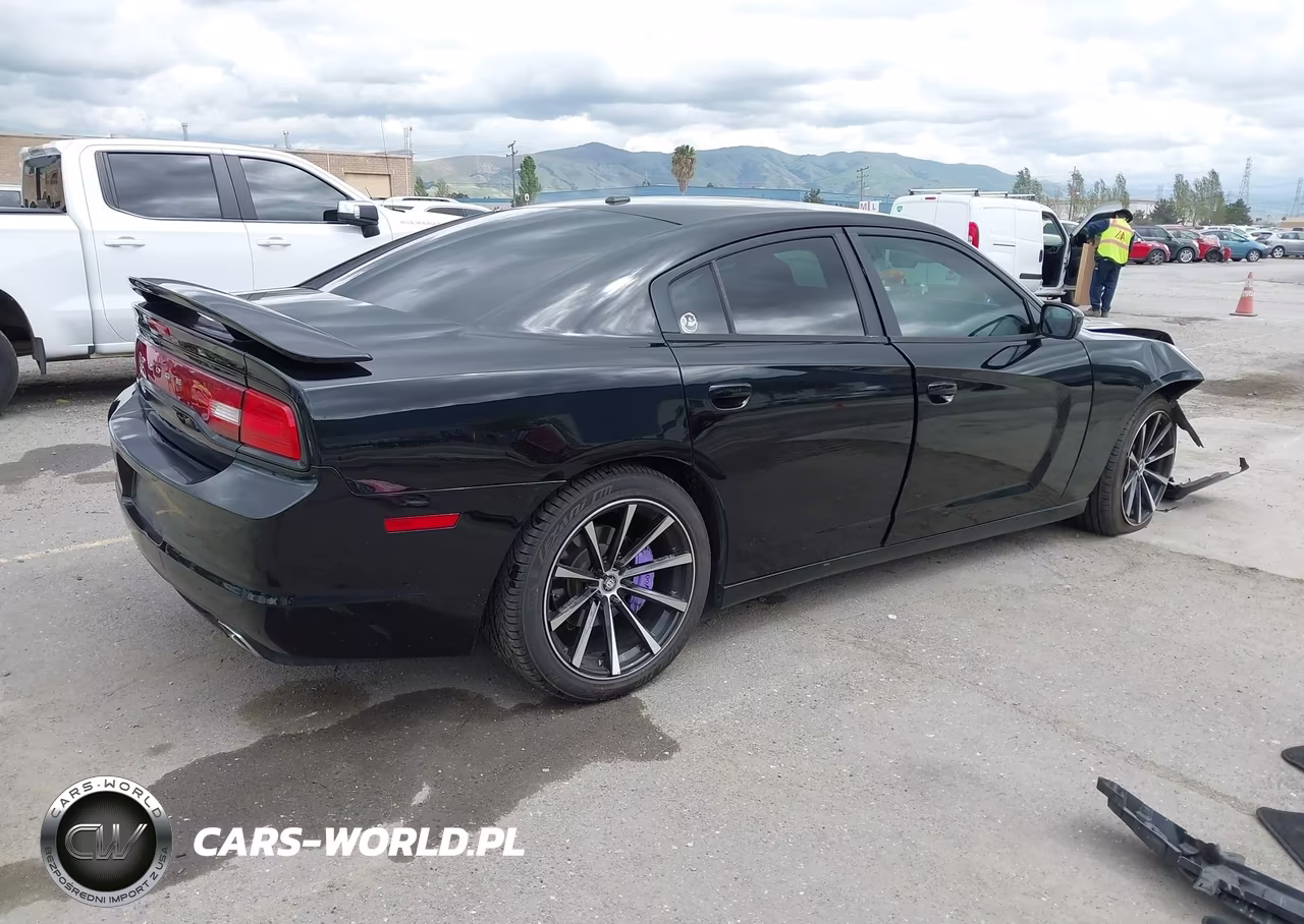 2013 Dodge Charger R-T Plus VIN:2C3CDXCT4DH545401 - 4