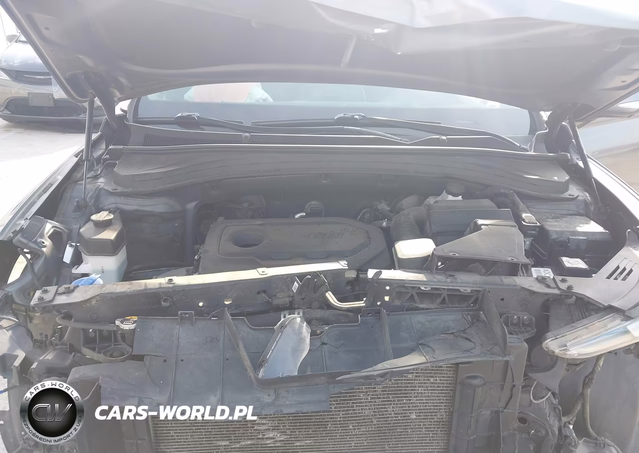 2019 Hyundai Santa Fe Ultimate VIN:5NMS5CAD1KH033489 - 10