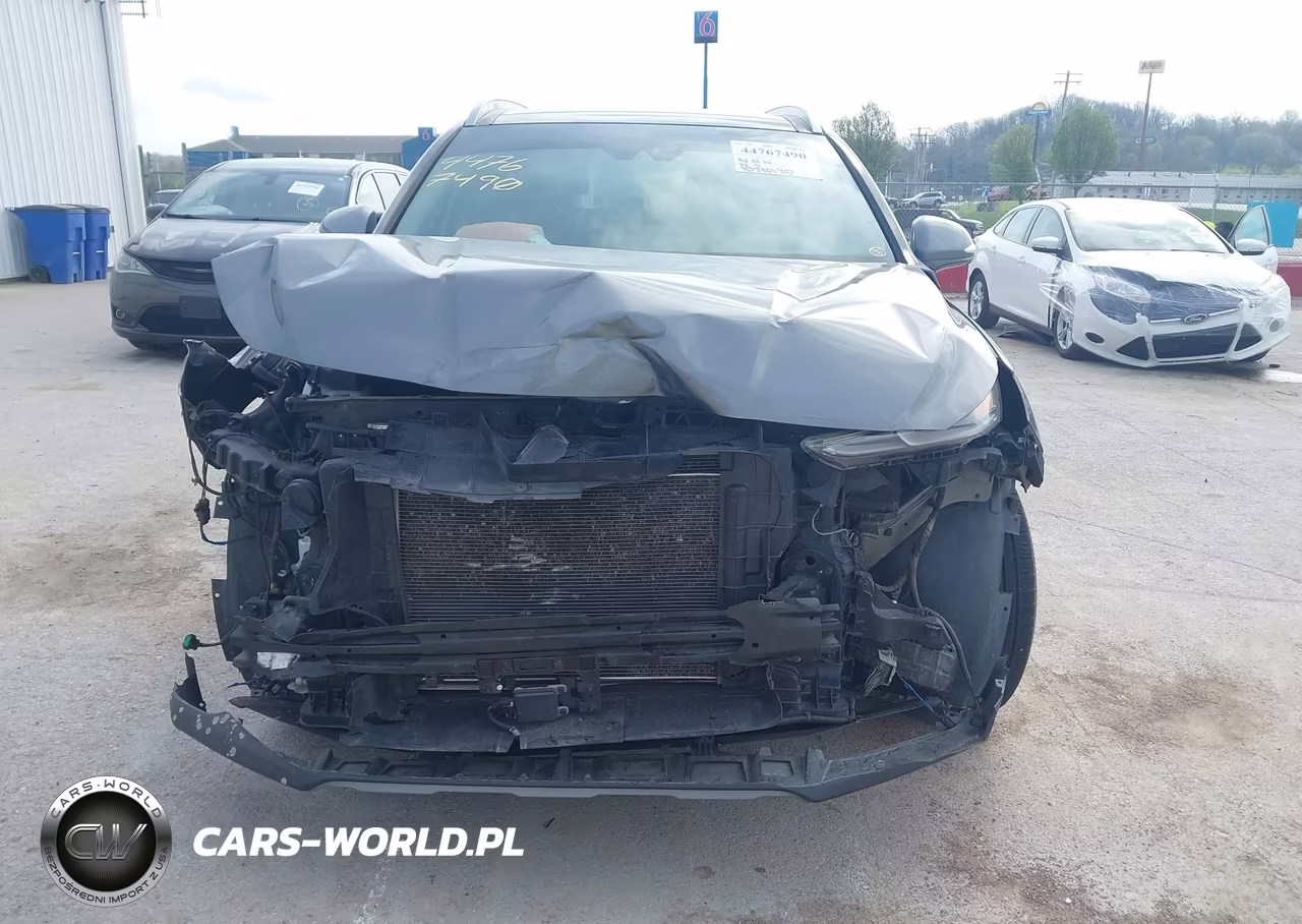 2019 Hyundai Santa Fe Ultimate VIN:5NMS5CAD1KH033489 - 12