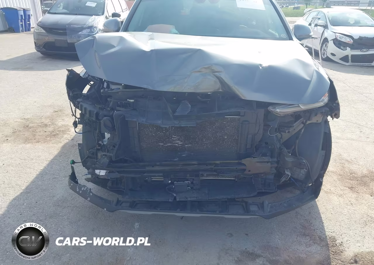 2019 Hyundai Santa Fe Ultimate VIN:5NMS5CAD1KH033489 - 6