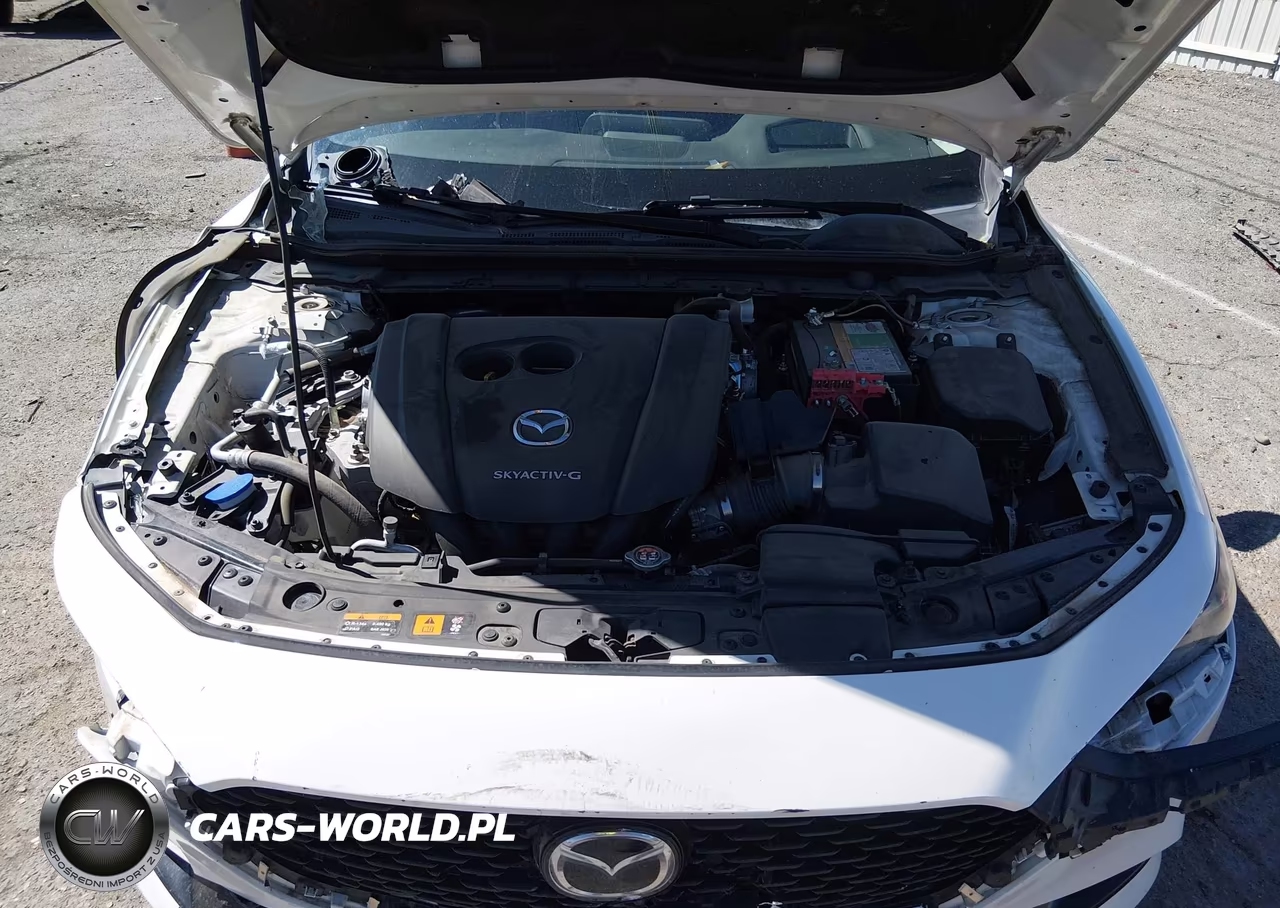 2019 Mazda Mazda3 Premium Package VIN:3MZBPAEM5KM103059 - 10