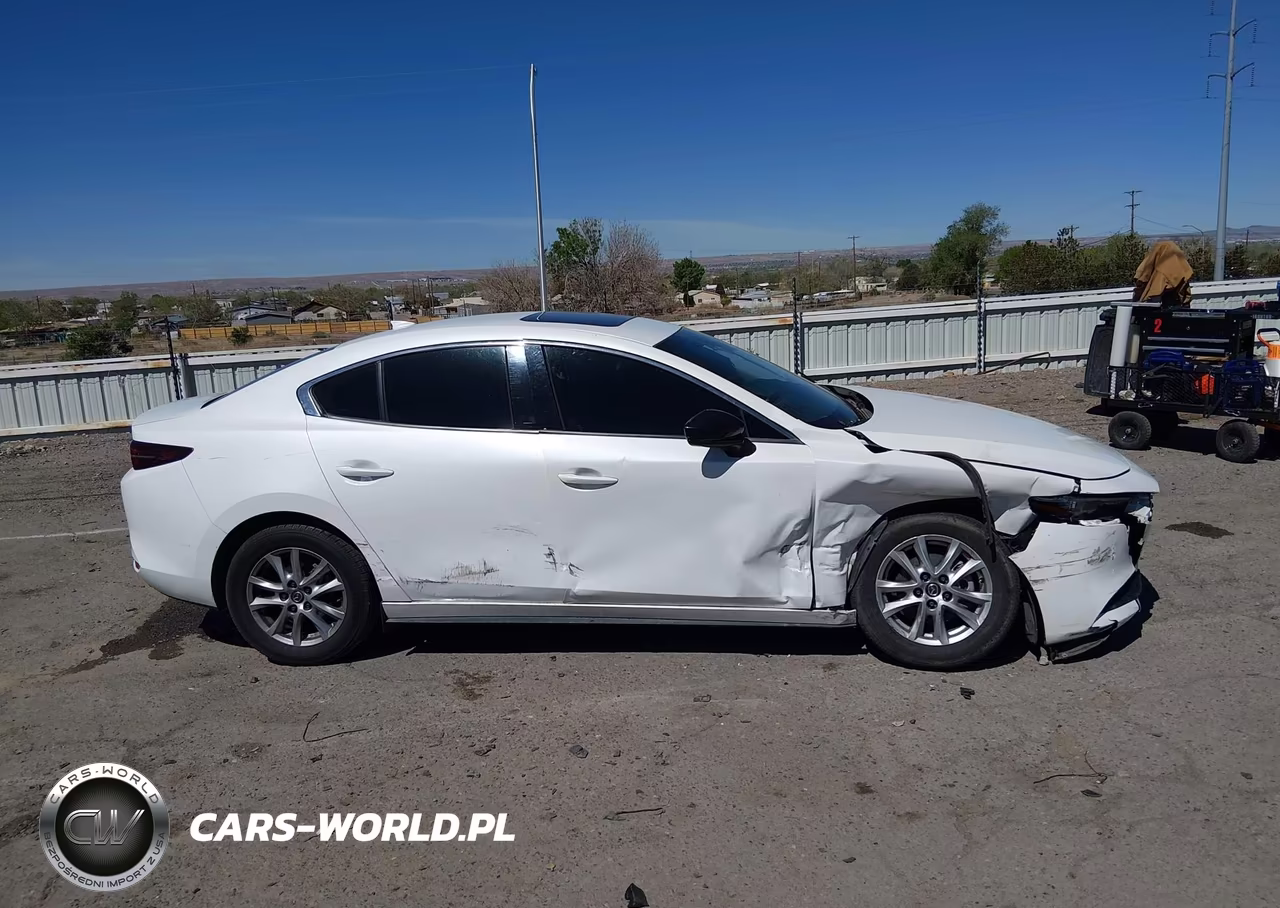 2019 Mazda Mazda3 Premium Package VIN:3MZBPAEM5KM103059 - 13
