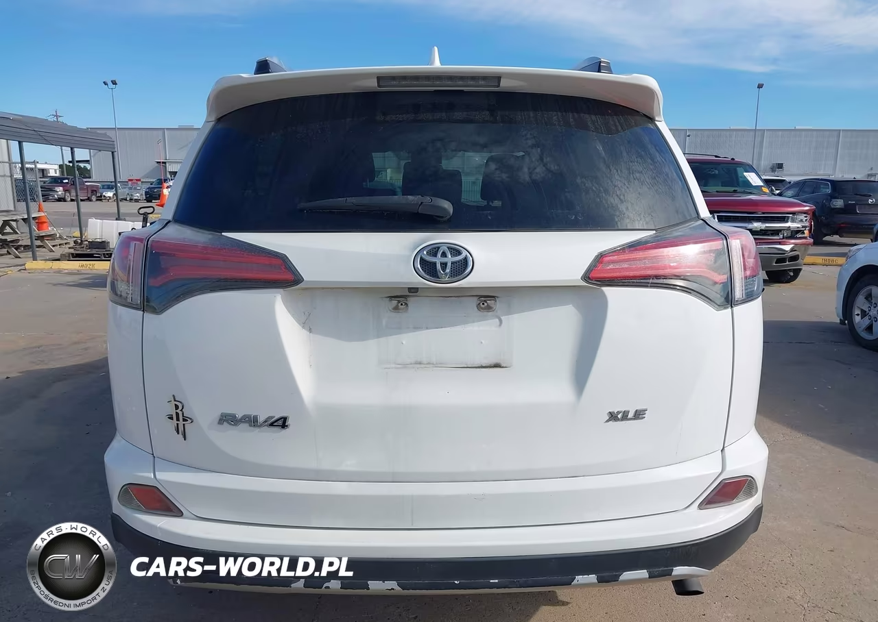 2016 Toyota Rav4 Xle VIN:2T3WFREV1GW261385 - 17