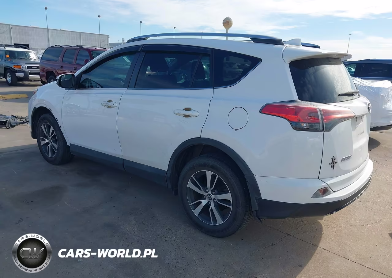 2016 Toyota Rav4 Xle VIN:2T3WFREV1GW261385 - 3