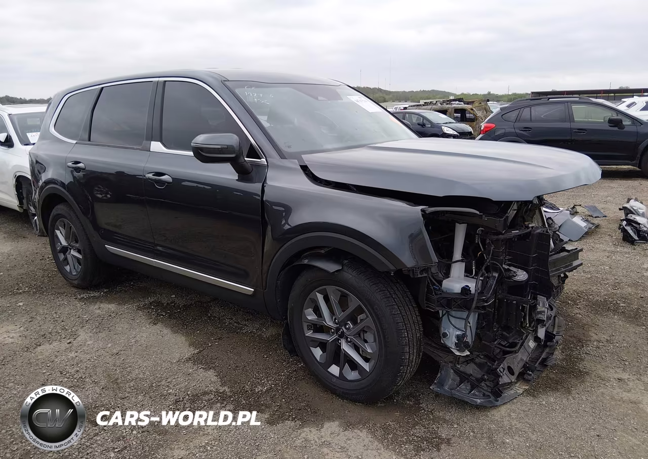 2024 Kia Telluride Lx VIN:5XYP24GC4RG410887 - 1