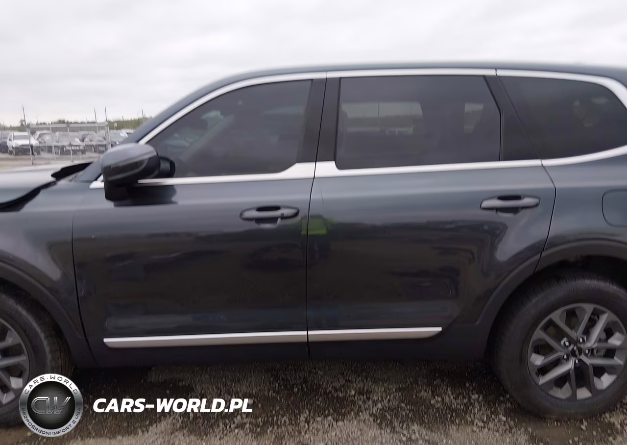 2024 Kia Telluride Lx VIN:5XYP24GC4RG410887 - 15