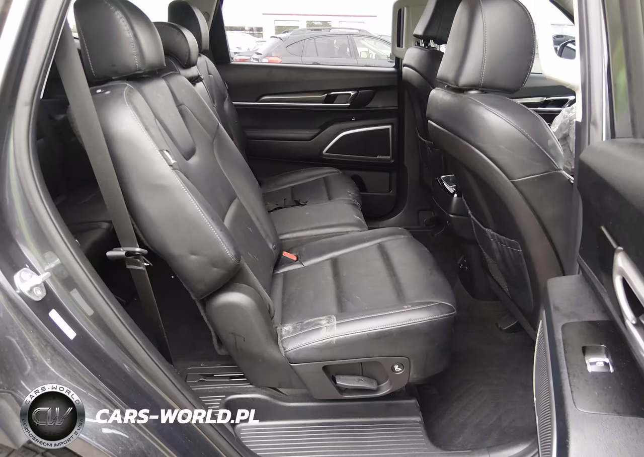 2024 Kia Telluride Lx VIN:5XYP24GC4RG410887 - 8