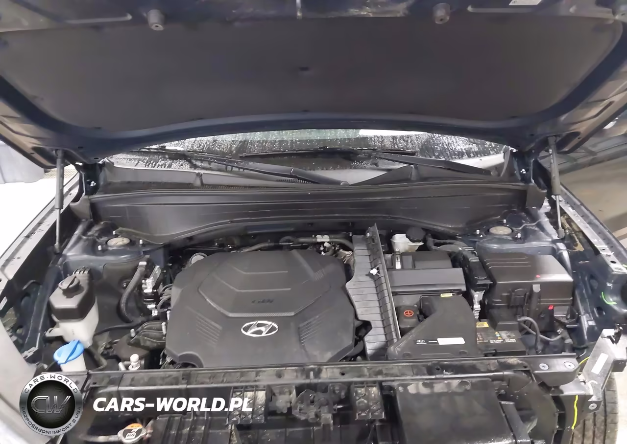 2020 Hyundai Palisade Sel VIN:KM8R2DHE3LU036346 - 10