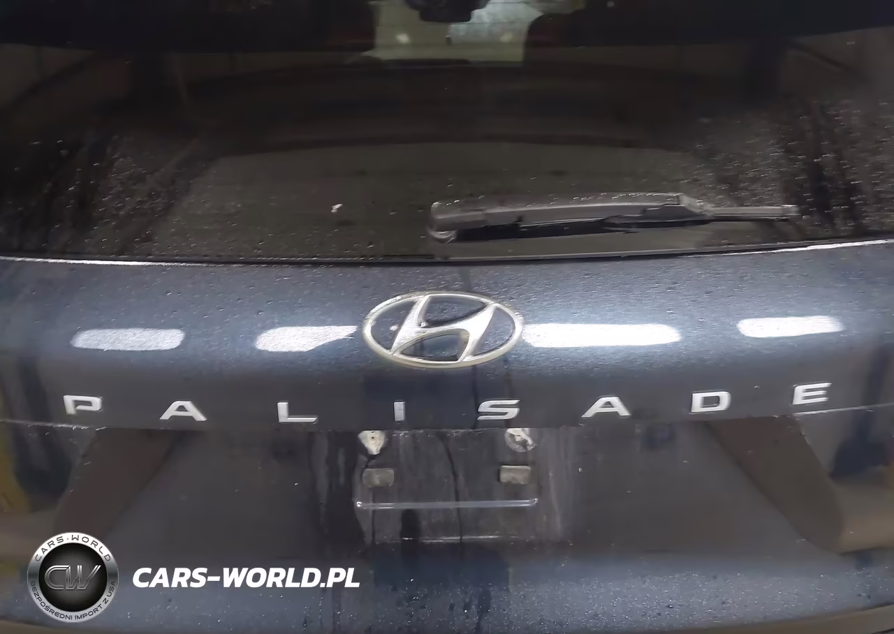 2020 Hyundai Palisade Sel VIN:KM8R2DHE3LU036346 - 16