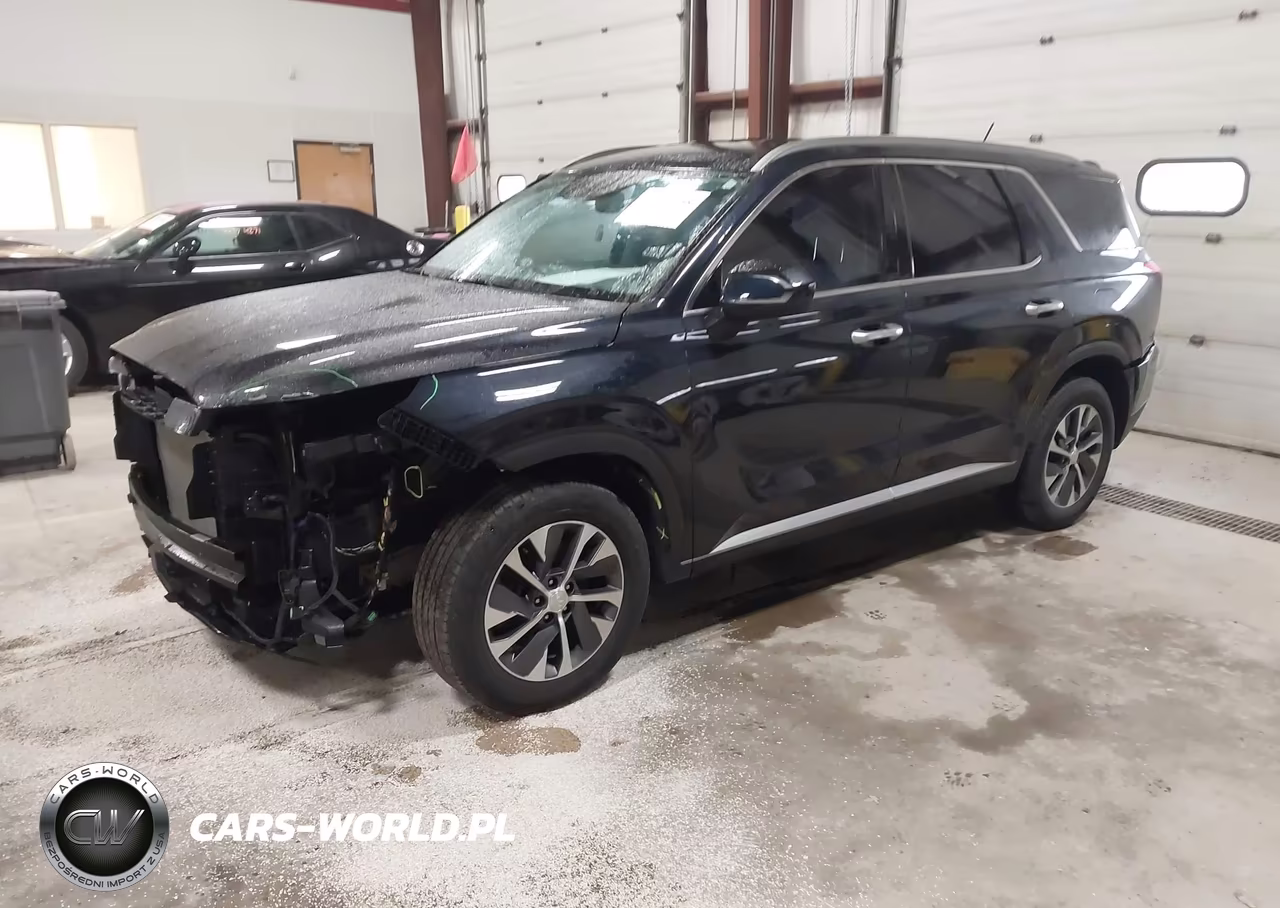 2020 Hyundai Palisade Sel VIN:KM8R2DHE3LU036346 - 2