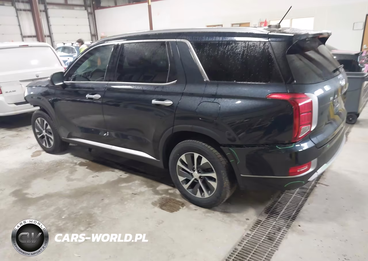 2020 Hyundai Palisade Sel VIN:KM8R2DHE3LU036346 - 3