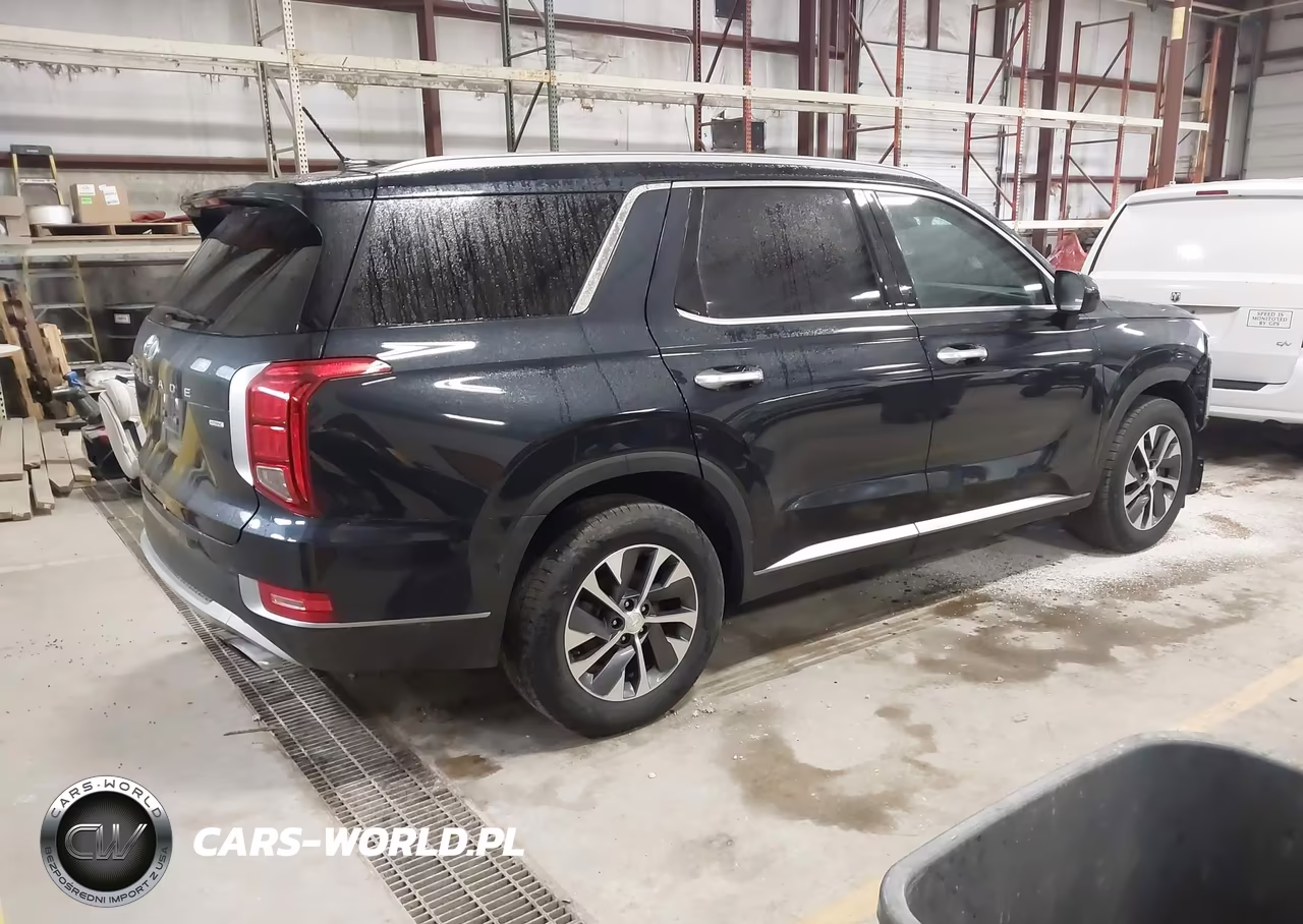 2020 Hyundai Palisade Sel VIN:KM8R2DHE3LU036346 - 4