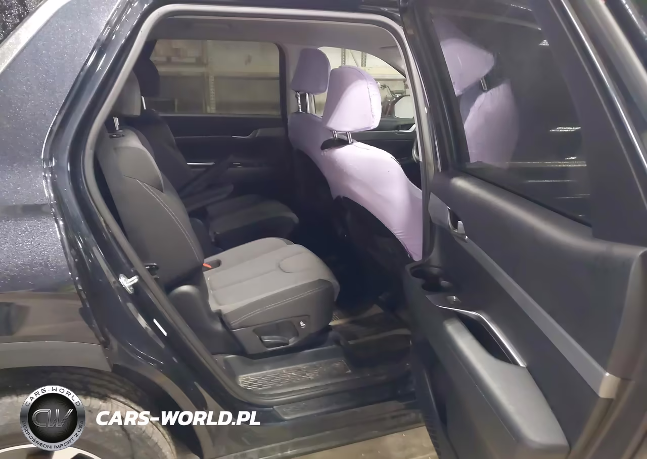 2020 Hyundai Palisade Sel VIN:KM8R2DHE3LU036346 - 8
