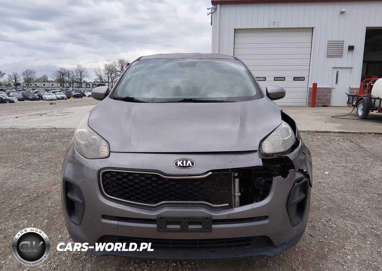 2017 Kia Sportage Lx VIN:KNDPM3ACXH7235490 - 12