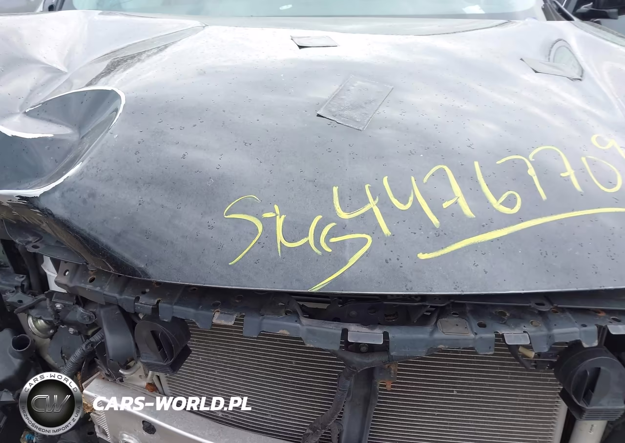 2016 Infiniti Qx60 VIN:5N1AL0MM4GC505438 - 10