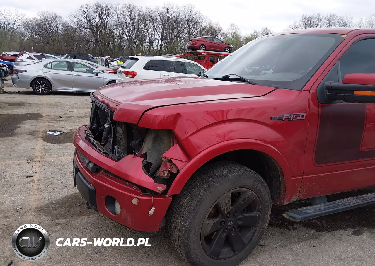 2012 Ford F-150 Fx4 VIN:1FTFW1EF3CFA12916 - 18
