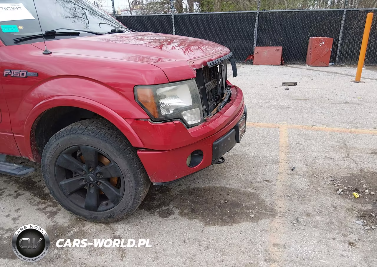 2012 Ford F-150 Fx4 VIN:1FTFW1EF3CFA12916 - 19