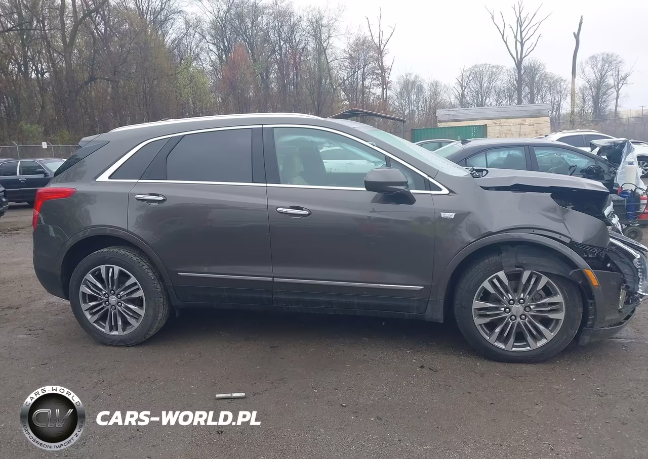 2019 Cadillac Xt5 Premium Luxury VIN:1GYKNFRS7KZ150665 - 13
