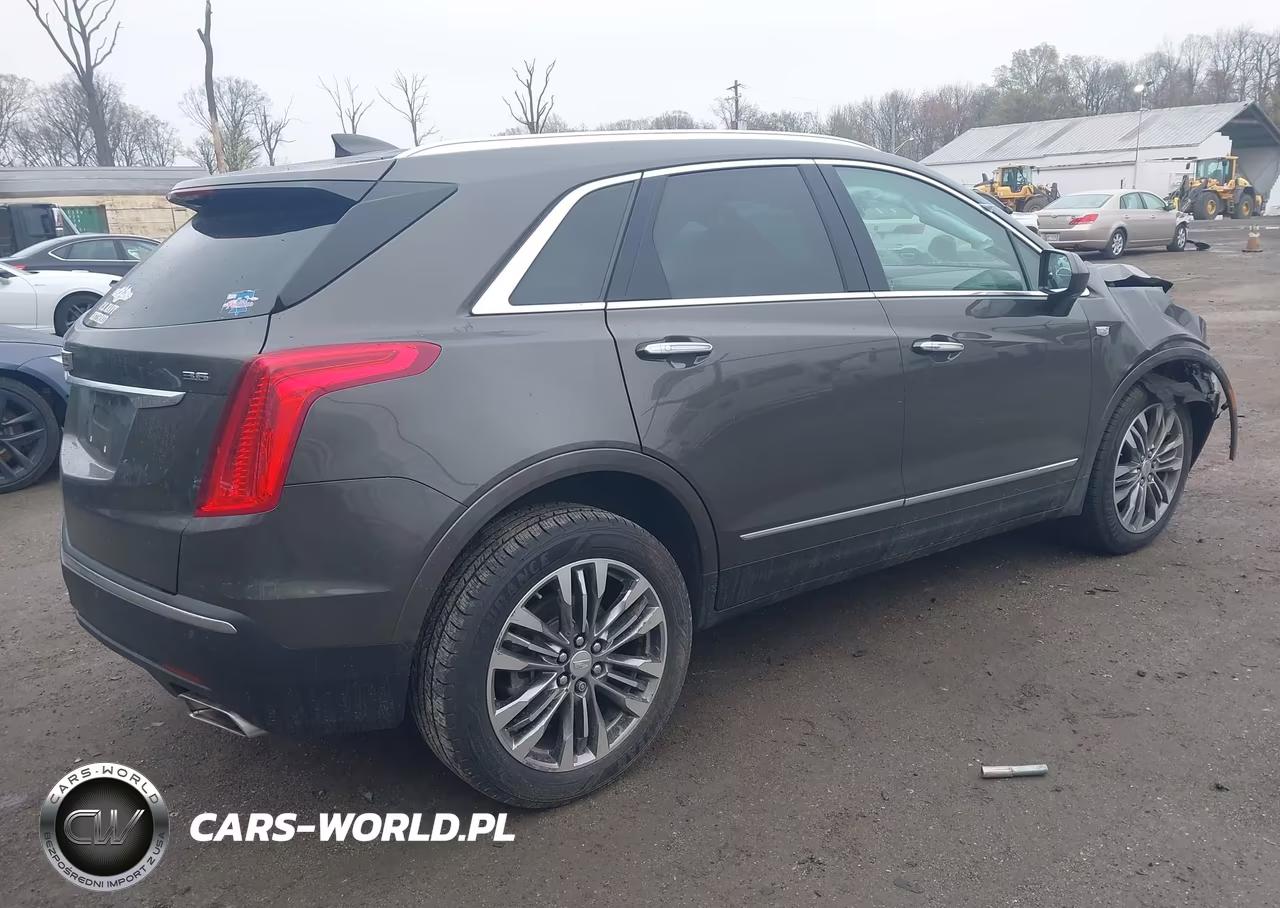 2019 Cadillac Xt5 Premium Luxury VIN:1GYKNFRS7KZ150665 - 4