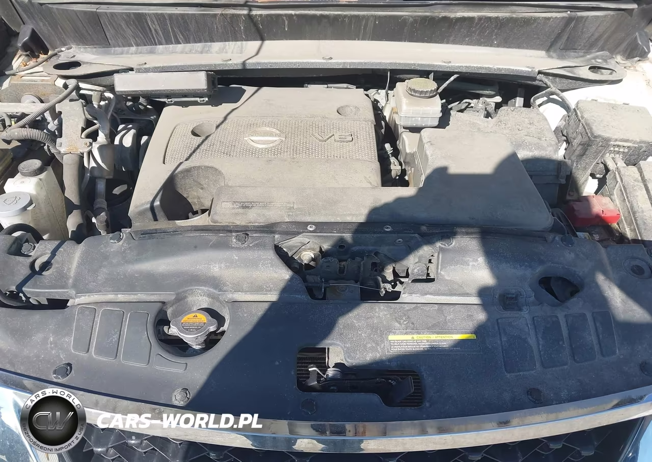2016 Nissan Pathfinder Platinum-S-Sl-Sv VIN:5N1AR2MN4GC634055 - 10