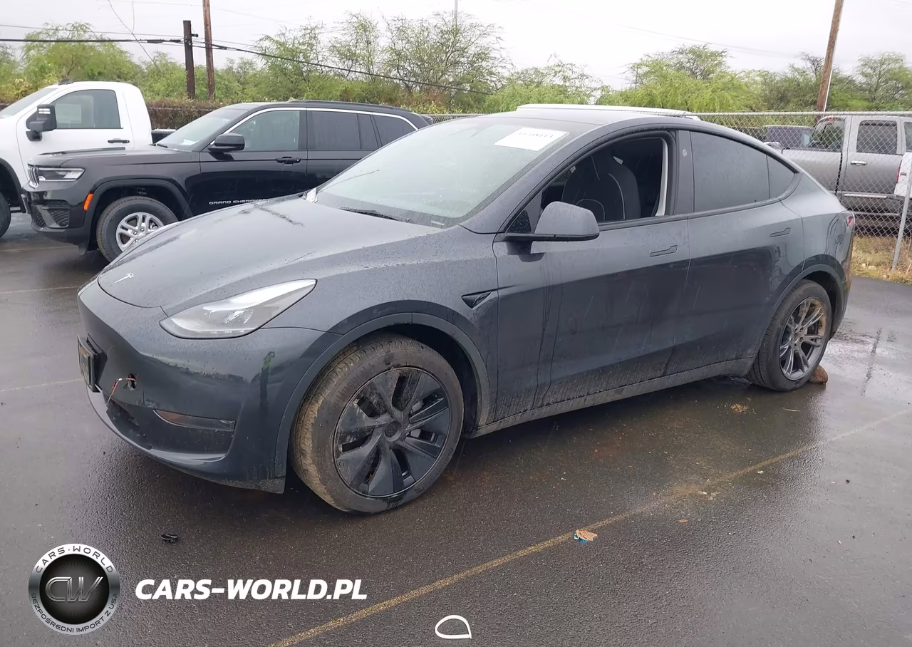 2025 Tesla Model Y Long Range Dual Motor Rear-Wheel Drive VIN:7SAYGDED7SF313345 - 2