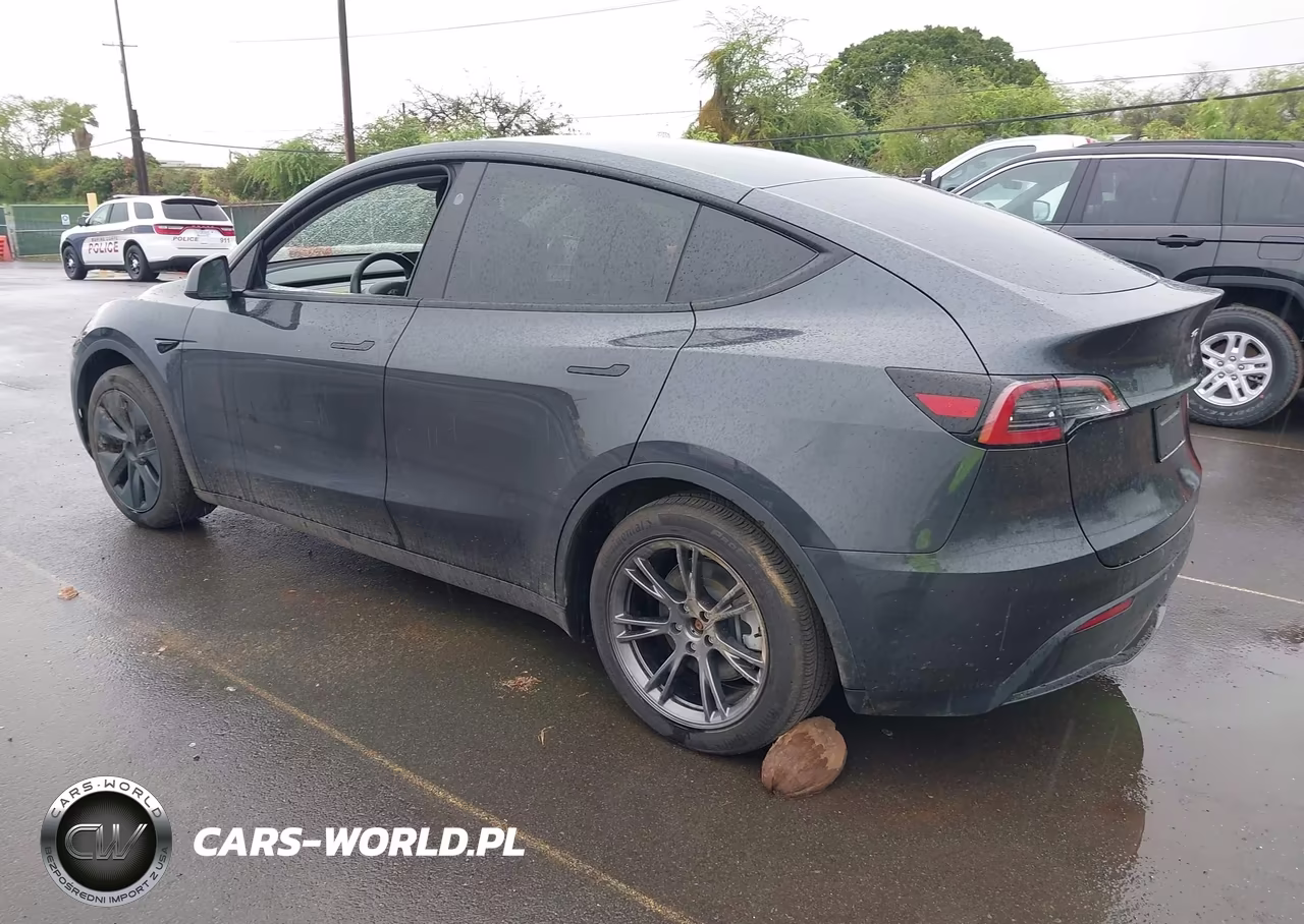 2025 Tesla Model Y Long Range Dual Motor Rear-Wheel Drive VIN:7SAYGDED7SF313345 - 3