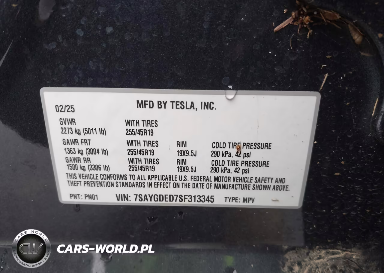 2025 Tesla Model Y Long Range Dual Motor Rear-Wheel Drive VIN:7SAYGDED7SF313345 - 9
