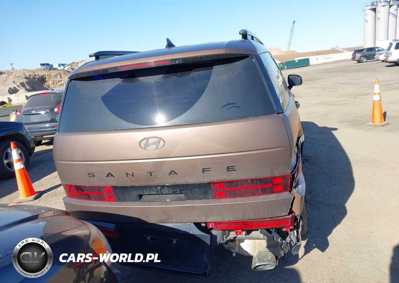 2024 Hyundai Santa Fe Calligraphy VIN:5NMP5DGLXRH029168 - 16