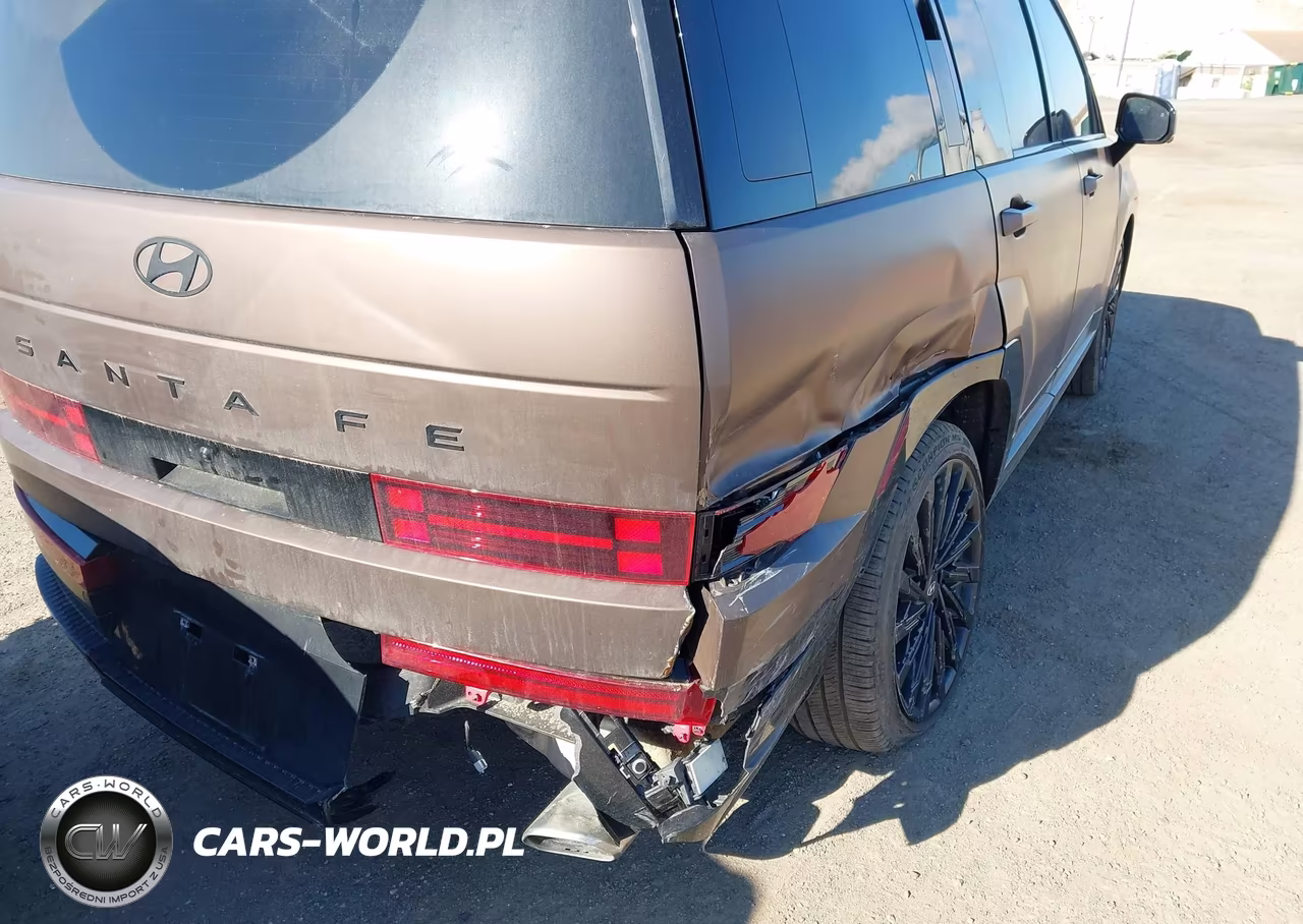 2024 Hyundai Santa Fe Calligraphy VIN:5NMP5DGLXRH029168 - 17