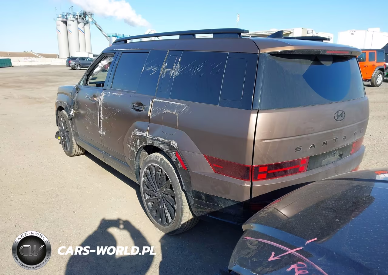 2024 Hyundai Santa Fe Calligraphy VIN:5NMP5DGLXRH029168 - 3