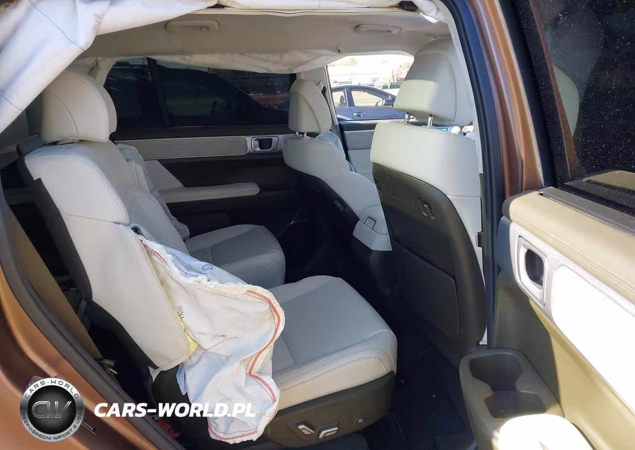 2024 Hyundai Santa Fe Calligraphy VIN:5NMP5DGLXRH029168 - 8