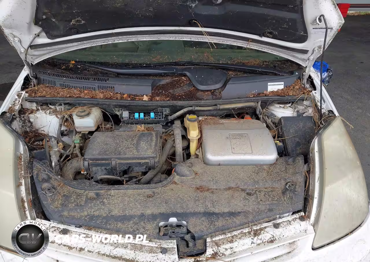 2004 Toyota Prius VIN:JTDKB20U340011999 - 10