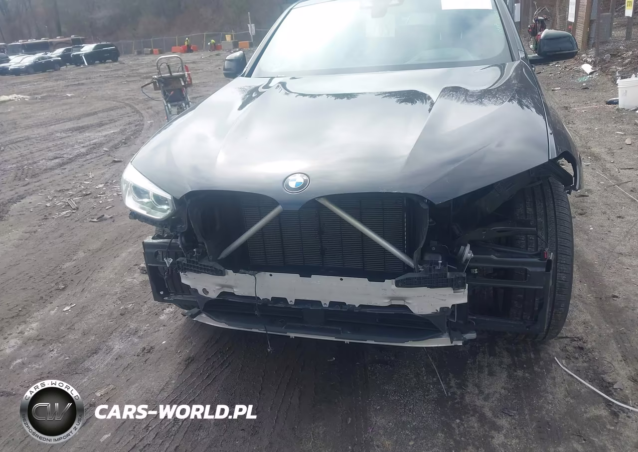 2021 BMW X4 xDrive30I VIN:5UX2V1C07M9G38485 - 6