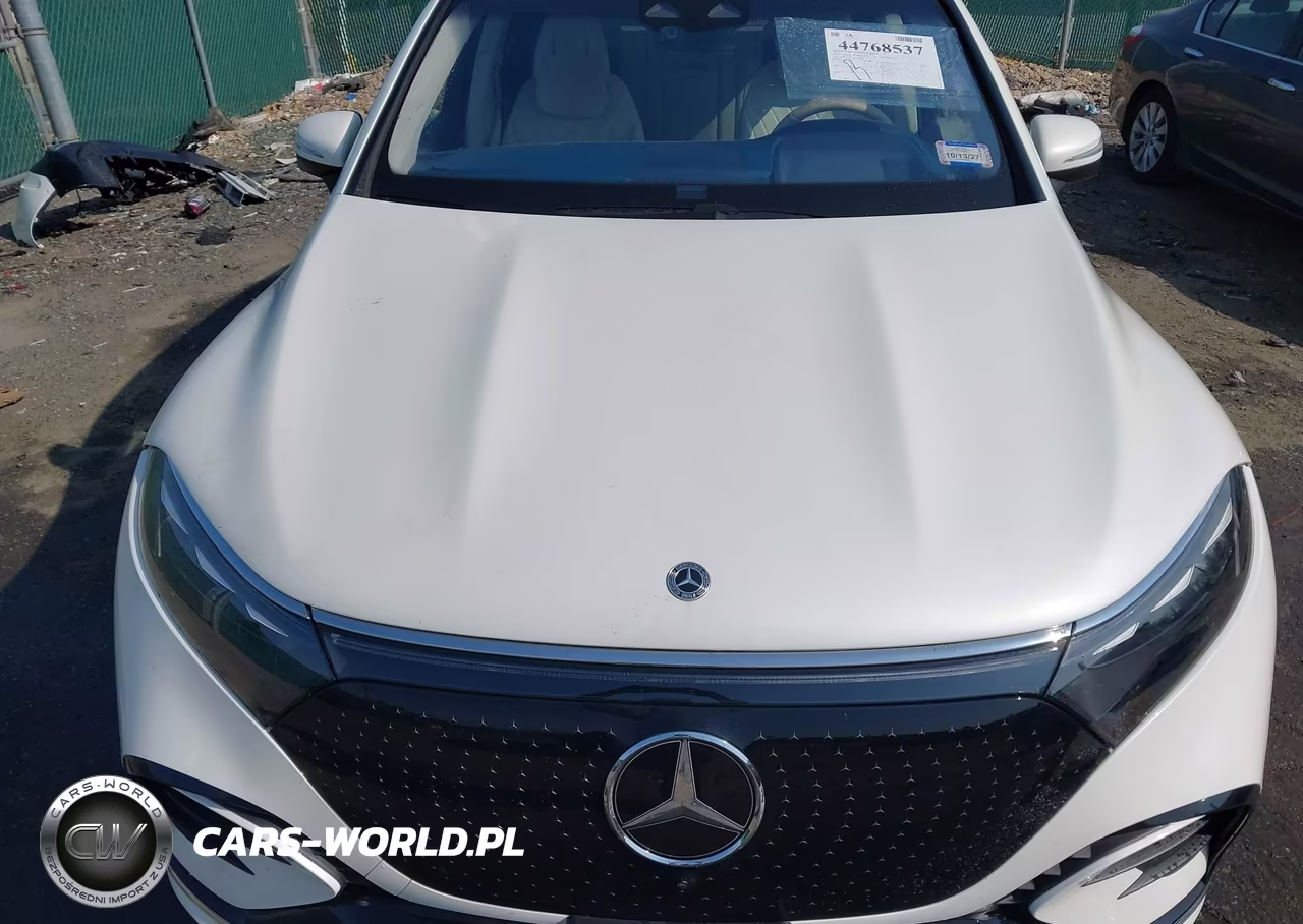 2023 Mercedes-Benz Eqs 580 Suv 4Matic VIN:4JGDM4EB2PA014988 - 10