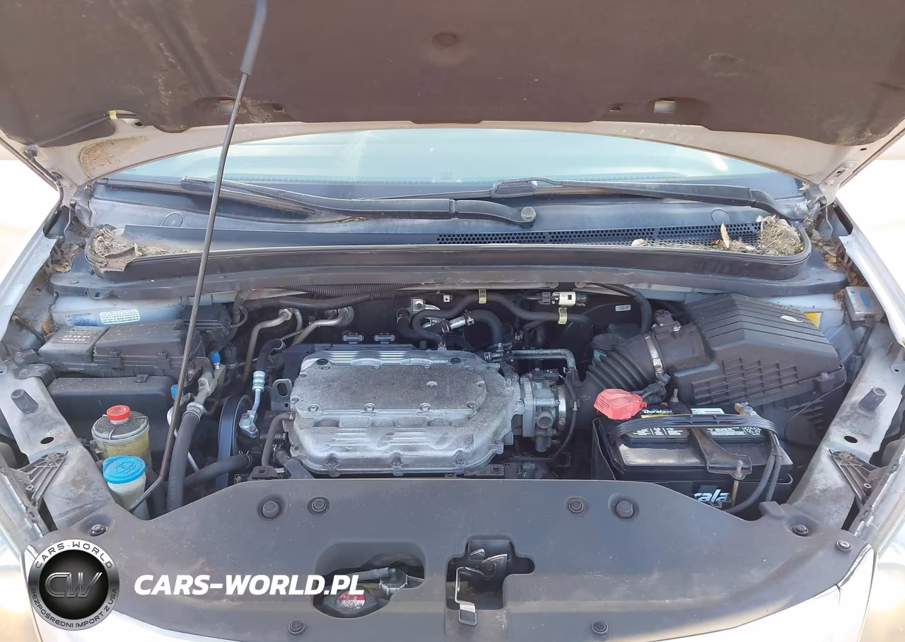 2010 Honda Odyssey Ex-L VIN:5FNRL3H63AB078574 - 10