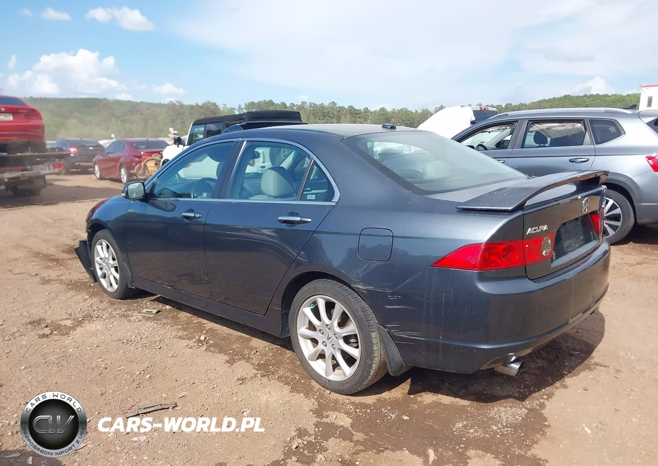 2006 Acura Tsx VIN:JH4CL96866C019535 - 3