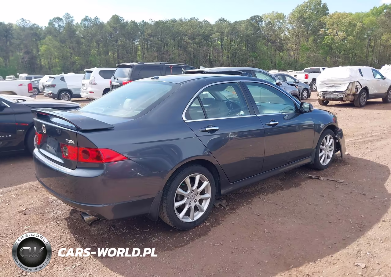 2006 Acura Tsx VIN:JH4CL96866C019535 - 4