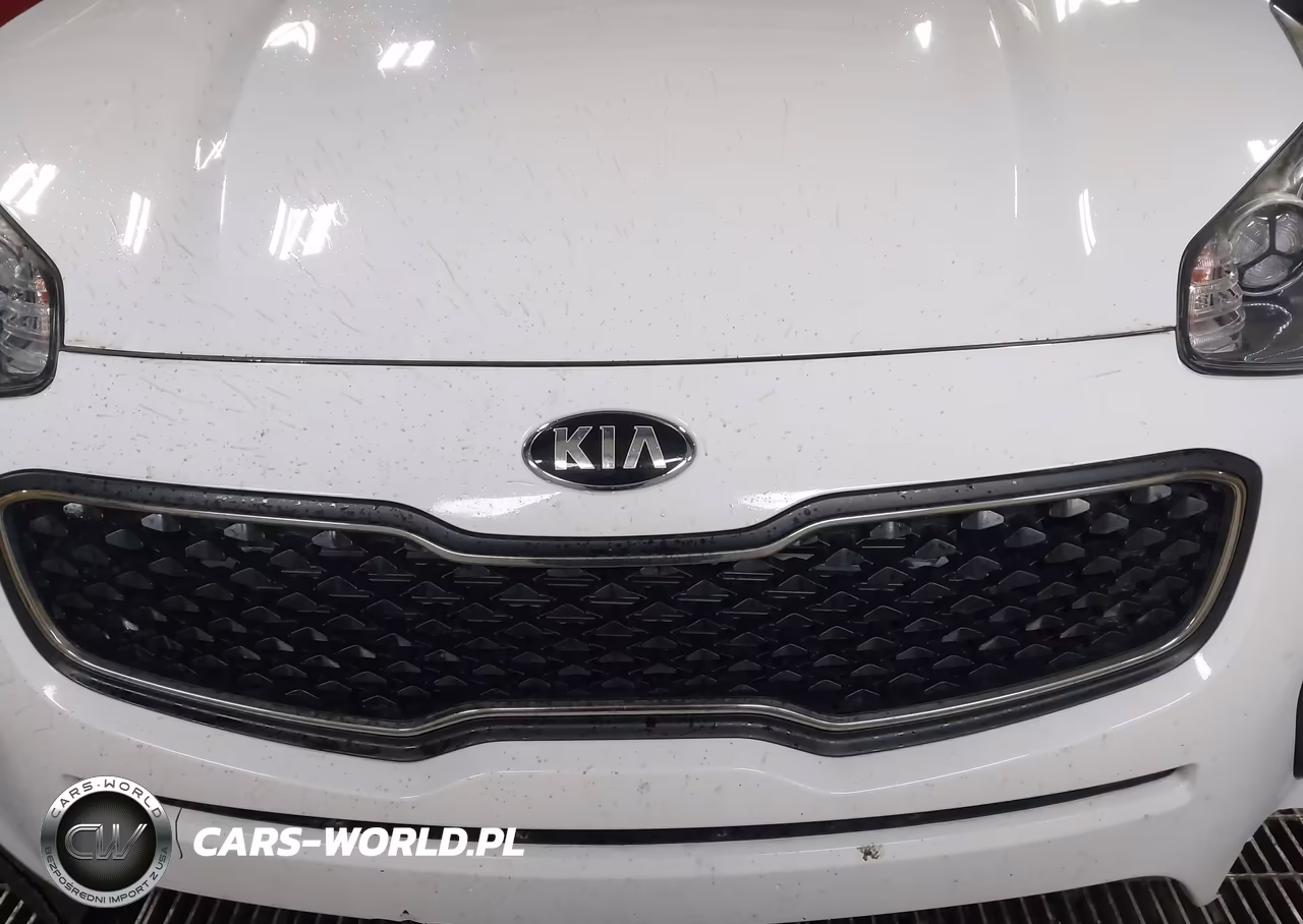 2019 Kia Sportage Lx VIN:KNDPM3ACXK7503946 - 12