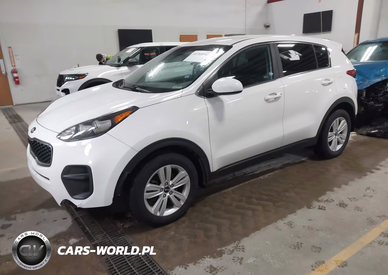 2019 Kia Sportage Lx VIN:KNDPM3ACXK7503946 - 2
