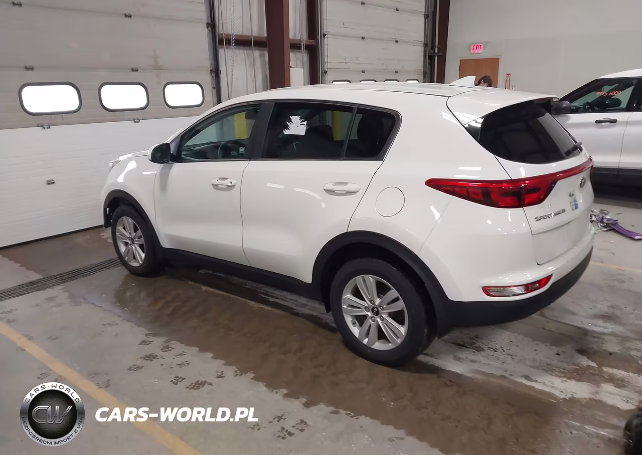 2019 Kia Sportage Lx VIN:KNDPM3ACXK7503946 - 3