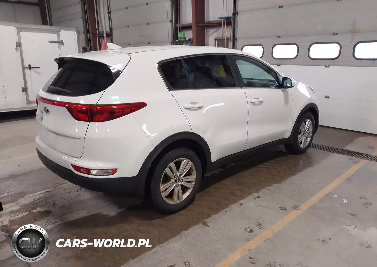 2019 Kia Sportage Lx VIN:KNDPM3ACXK7503946 - 4