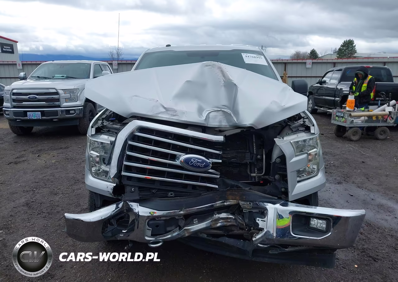 2017 Ford F-150 Xlt VIN:1FTEW1EG7HFA75156 - 13