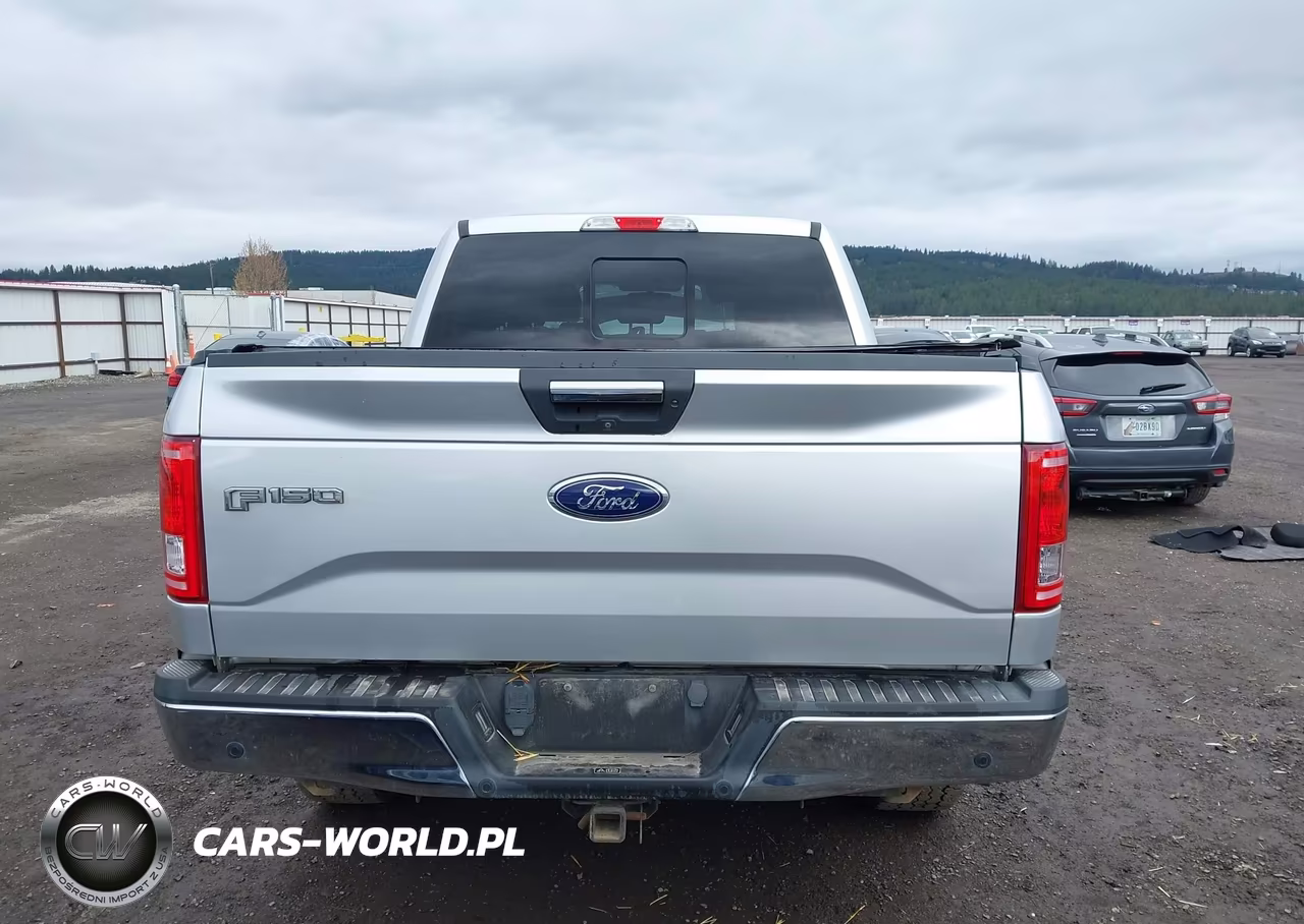 2017 Ford F-150 Xlt VIN:1FTEW1EG7HFA75156 - 17