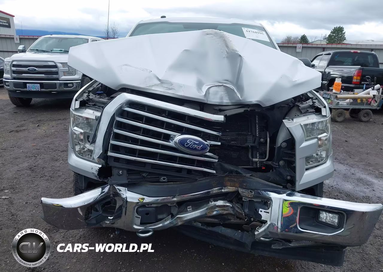 2017 Ford F-150 Xlt VIN:1FTEW1EG7HFA75156 - 18