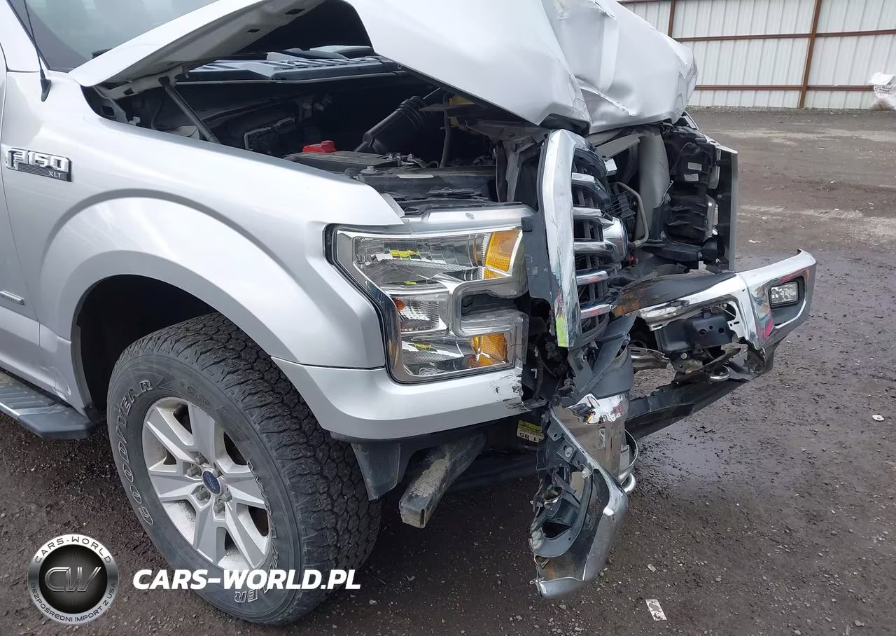 2017 Ford F-150 Xlt VIN:1FTEW1EG7HFA75156 - 19