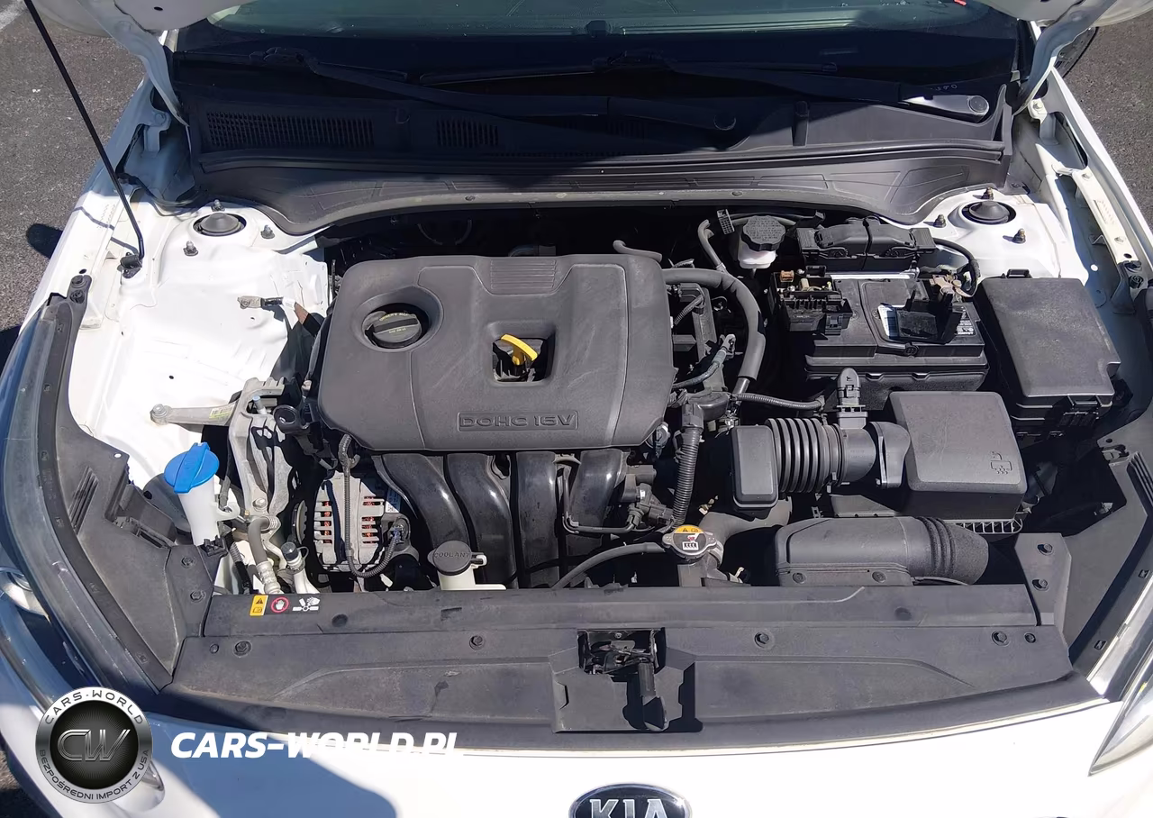 2021 Kia Forte Lxs VIN:3KPF24AD7ME350493 - 10