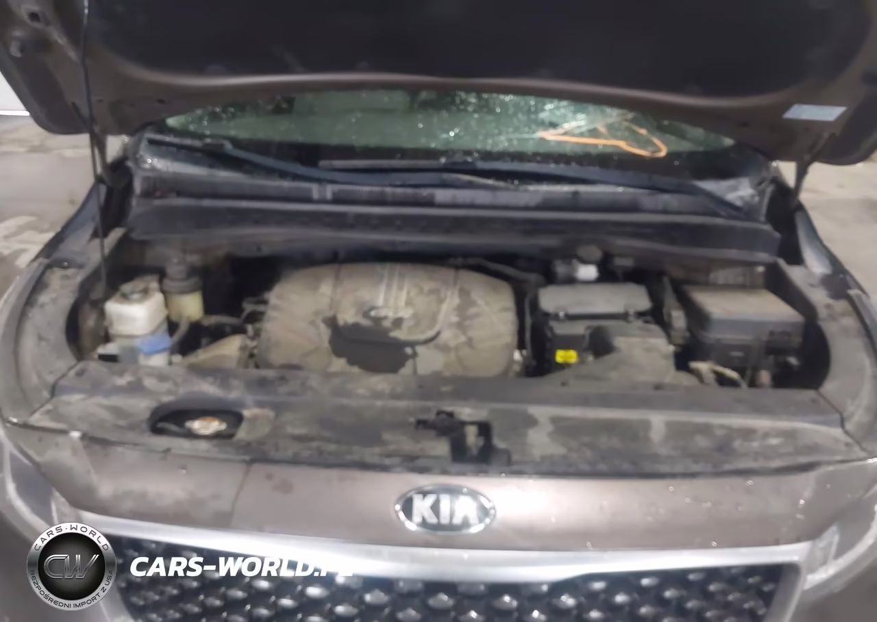 2016 Kia Sedona Lx VIN:KNDMB5C17G6182767 - 10
