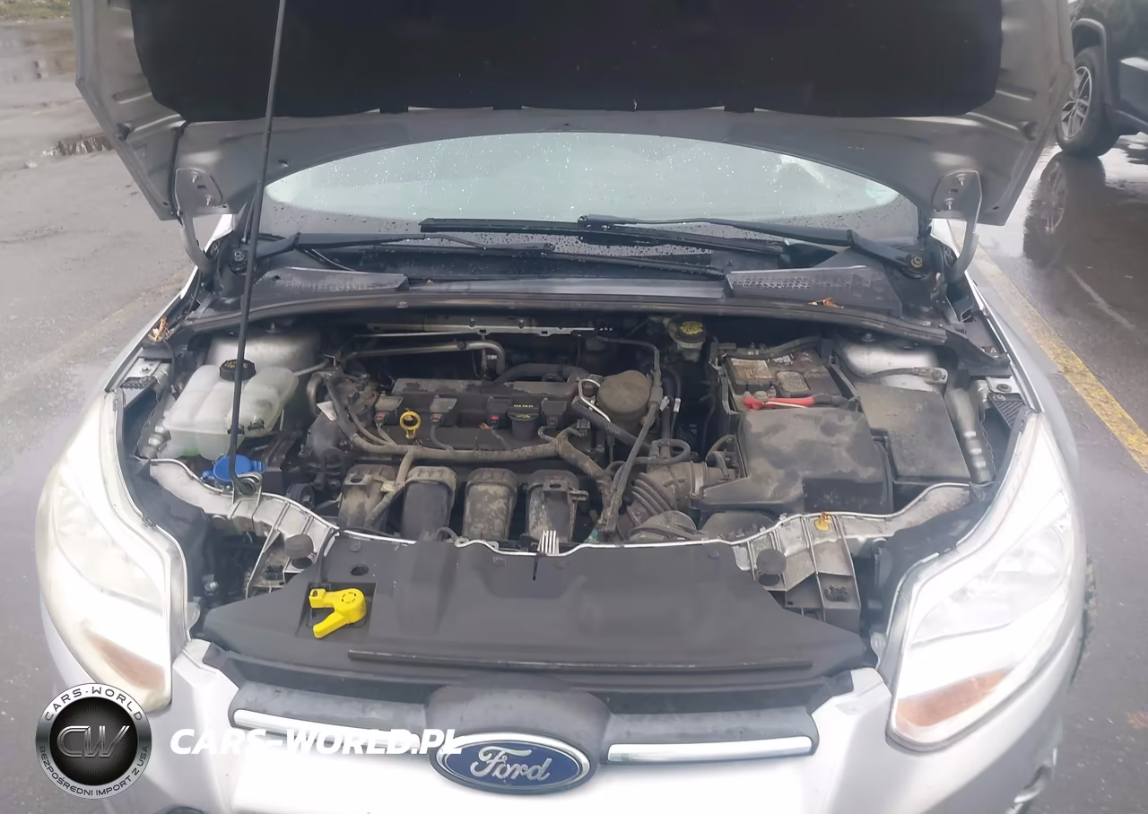 2013 Ford Focus Se VIN:1FADP3K26DL227393 - 10